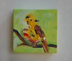 Yellowhammer