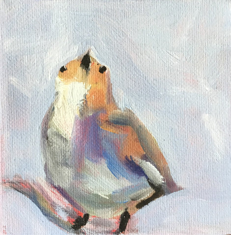 Little Bird