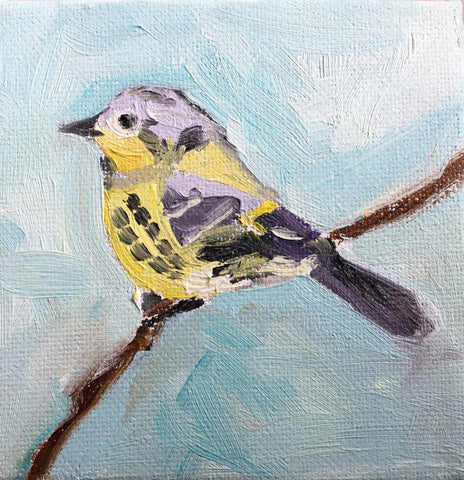 Magnolia Warbler