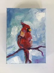 Spring Cardinal