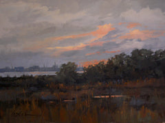 View From Sullivan's Island Path